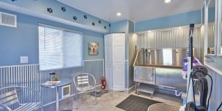 Sloan's Lake Gallery 15