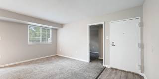 ReNew Odenton Gallery 76