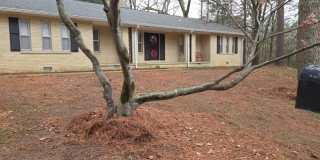 4 bedroom home in the Heart of Oxford Gallery 1