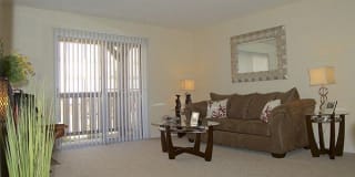 Cambridge Gallery 17