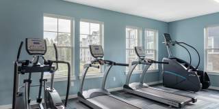 Tryon Farms Gallery 5