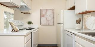 Pinewood Terrace Gallery 4