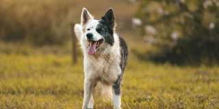 Fountains at Emerald Park - Affordable Housing Gallery 11