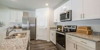 Jackey's Ridge Gallery 2