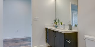 The Merian Gallery 57