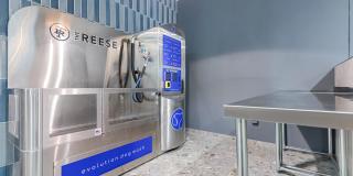 The Reese Gallery 46