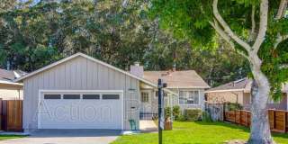 2329 Trenton Drive Gallery 1