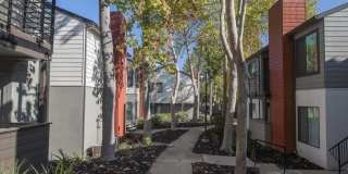 Eclipse 96 Apartments Gallery 13