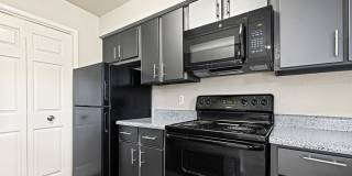 Venue at 8651 Gallery 1