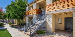 Palm Desert Gallery 12