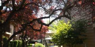 14074 Southwest Downing Street Gallery 17