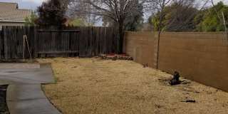 VERY CUTE 3BD/2BTH SINGLE FAMILY IN NORTH LINCOLN Gallery 18