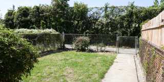 2026 N Wolfe St Gallery 7