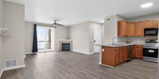 Newly renovated 2 Bedroom Condo in Centennial Gallery 1