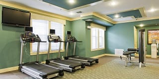 Aqua at Millenia Gallery 19