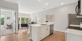 The Ethan Gallery 10