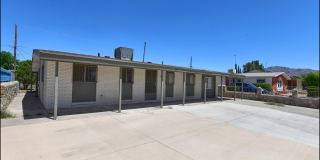295 LIMONITE Circle Gallery 1