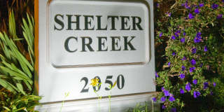 Shelter Creek Apartments Gallery 1
