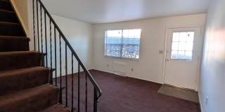 1174 D Kelburn Road Gallery 2