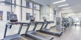 Lake & Wells Gallery 16