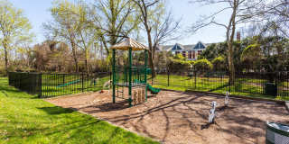 Annen Woods Annen Woods Gallery 25