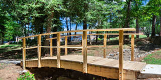 University Oaks Gallery 15