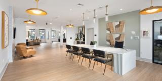 Alta Westwind Gallery 7