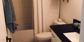 Longwood (The Springs) - 2 Bedroom, 1 Bathroom - $1,795.00 Gallery 14