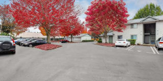 TownCenter Gallery 18