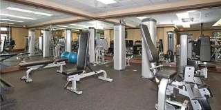 8506 Quarton Drive - 1 Gallery 20