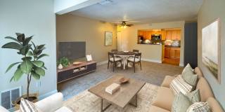 Katahdin Woods Gallery 20