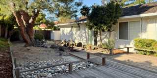 Beautiful 4 Bedroom 2 Bath Home in Desirable Sunnyvale Neighborhood Gallery 22