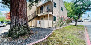 7445 Auburn Oaks Ct Gallery 4