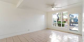 Charming 1-bedroom, 1-bath home in Tucsons most iconic neighborhood! Gallery 5