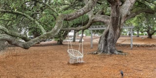 Arbor Trace Gallery 34