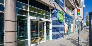 SOMA at 788 Gallery 41