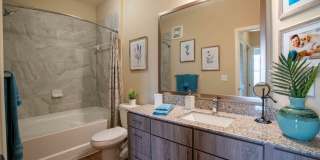 Century Dunes Gallery 24