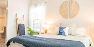 The Palmera Gallery 8