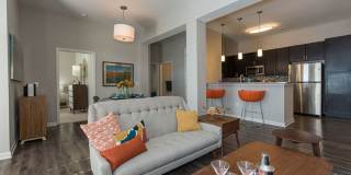 Nexus at Sandhill Apartment Homes Gallery 7