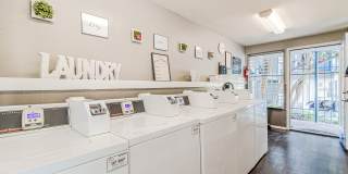 French Place Gallery 28