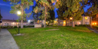 Elevate Apartment Homes Gallery 3