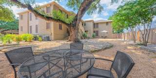 Bouldin Creek Gallery 40
