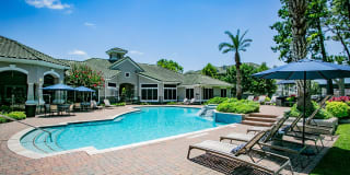 Chandler Park Apartment Homes Gallery 4