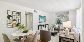 Shelton Apartments Gallery 4
