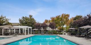 Sofi Berryessa Gallery 2