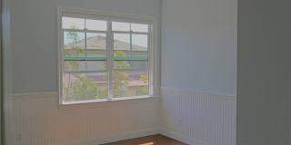 132 Island Coral Gallery 25