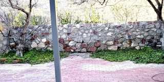 6035 BANDOLERO Drive unit: C Gallery 46