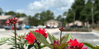 21027 VOYAGER Boulevard Gallery 23
