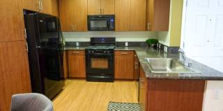 Pacific Landing Gallery 17