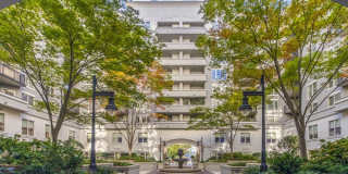 Camden Grandview Gallery 49